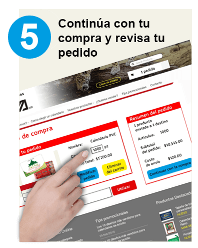 Continua con tu compra y revisa tu pedido