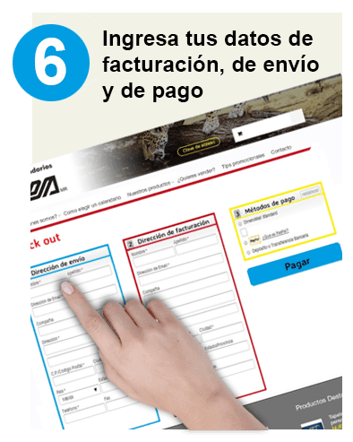 Ingresa tus datos de facturación, de envió y de pago